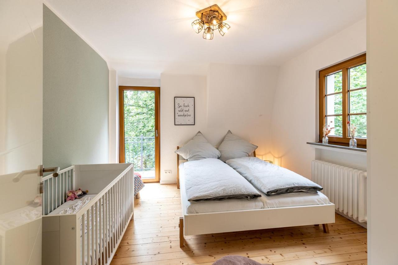 Landhaus Karbach Komplett Oder Einzelne Wohneinheiten Villa Inkl Sauna Bzw Waldhaeuschen Hirten Εξωτερικό φωτογραφία